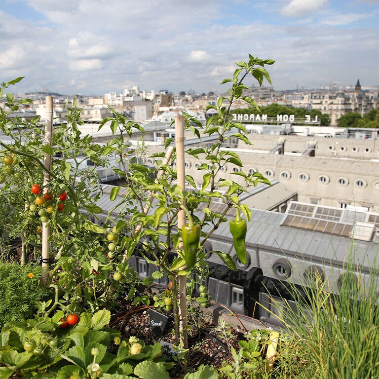 NOS ENGAGEMENTS POUR L’ENVIRONNEMENT