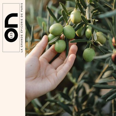 Stefanos : bienfaits de l'huile d'olive, , large