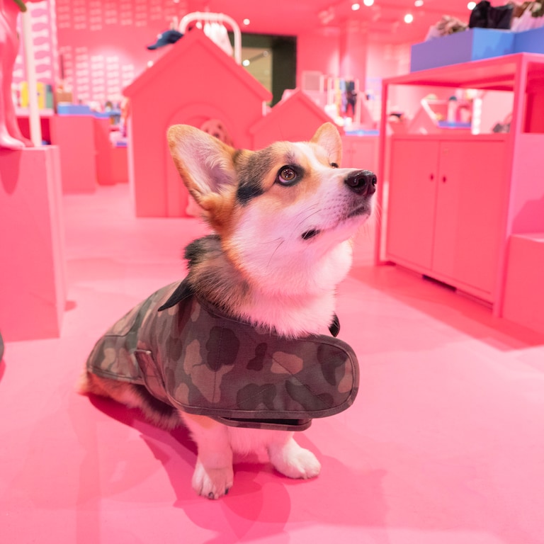 Alpha Dogs House vous donne rendez-vous au Bon Marché
