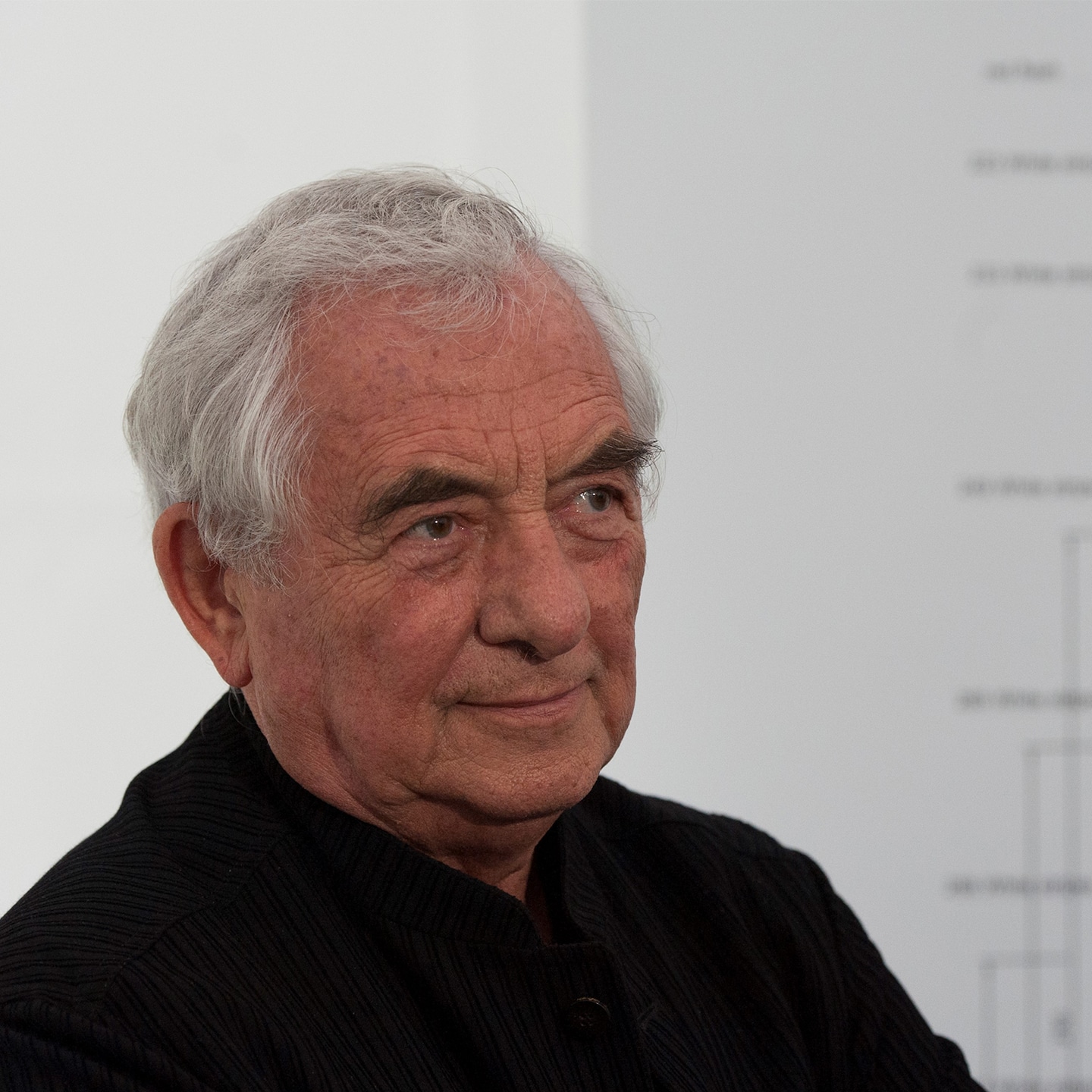 Portrait Daniel Buren
