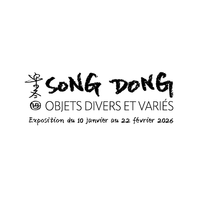 Song Dong &laquo; Objets divers et vari&eacute;s &raquo;