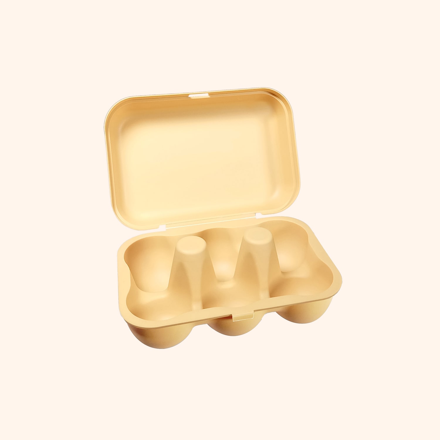 Bo&icirc;te de 6 &oelig;ufs