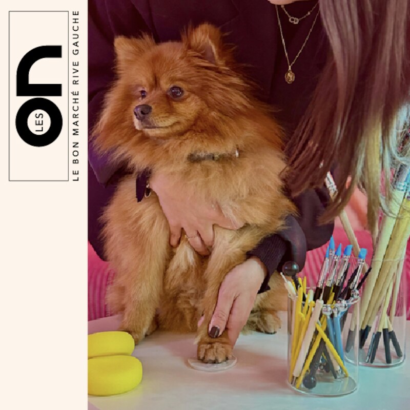 Atelier : Empreinte de chien, , hi-res