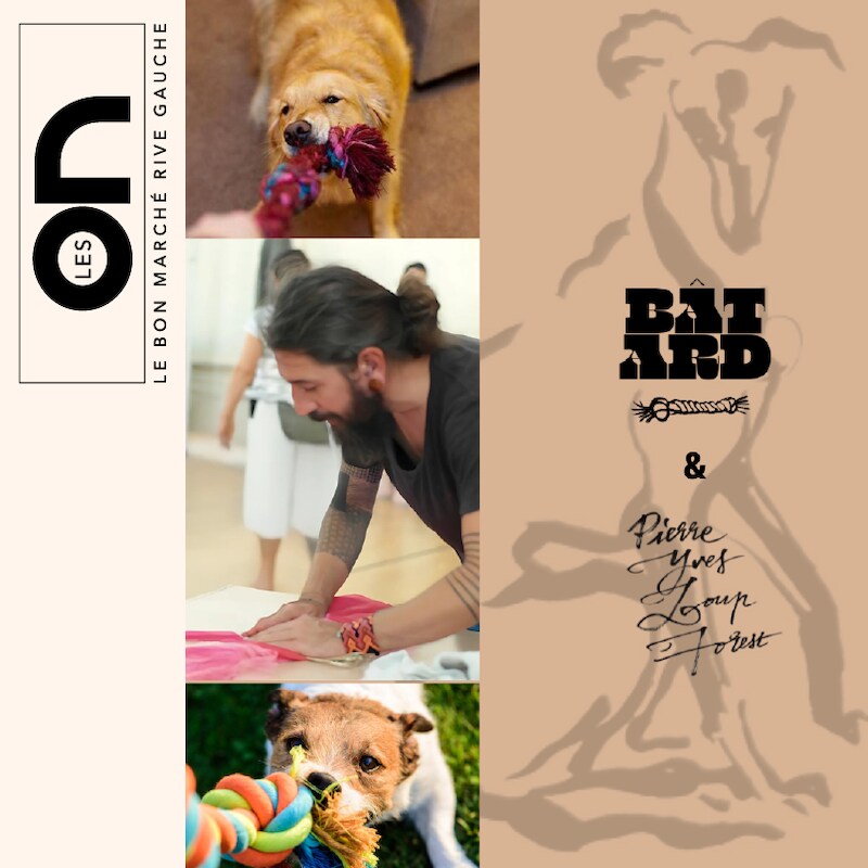 Atelier : Création de jouet pour chien, , hi-res