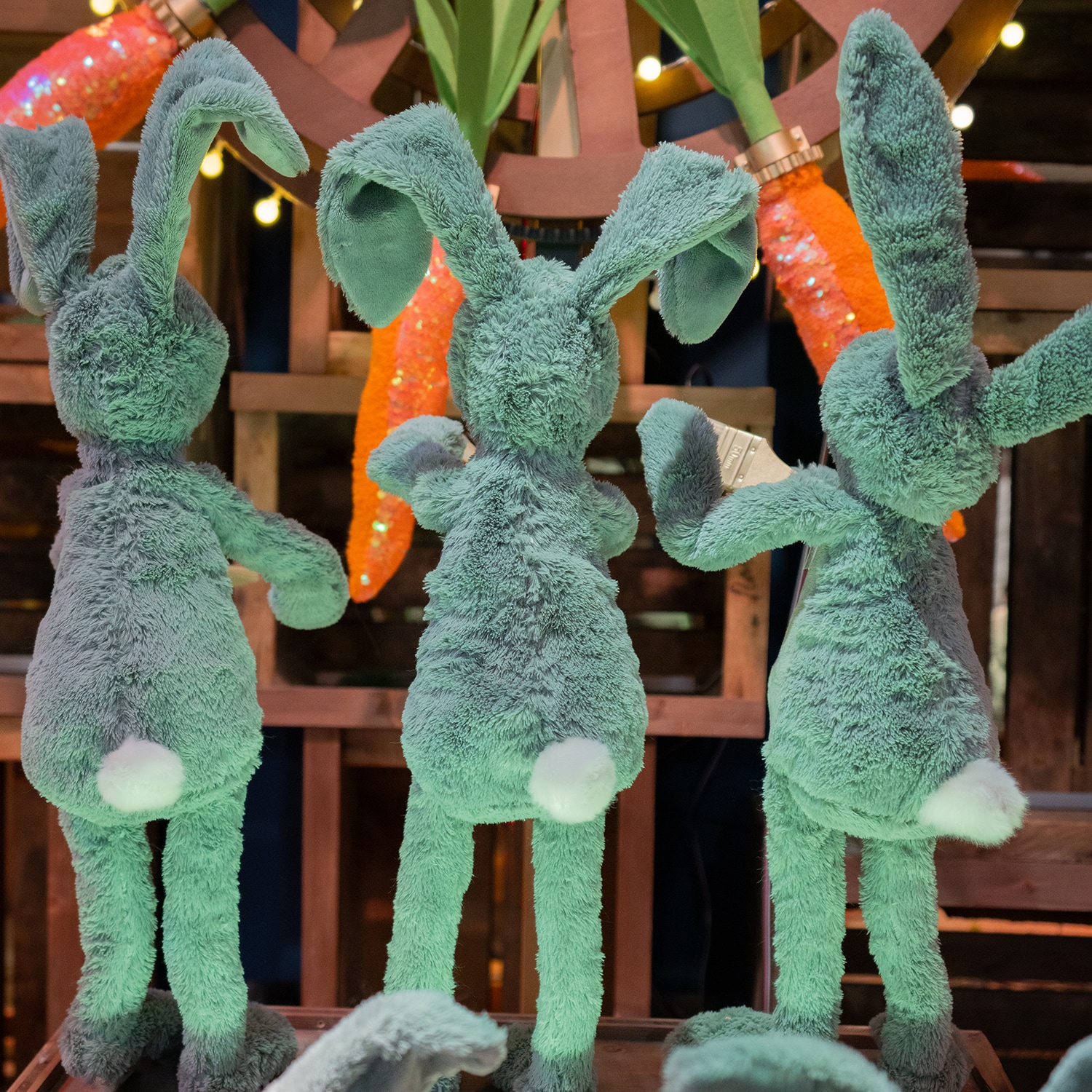 La magie de Noël s'invite dans les vitrines