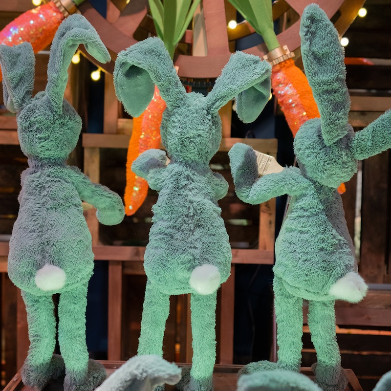 La magie de Noël s'invite dans les vitrines, , hi-res