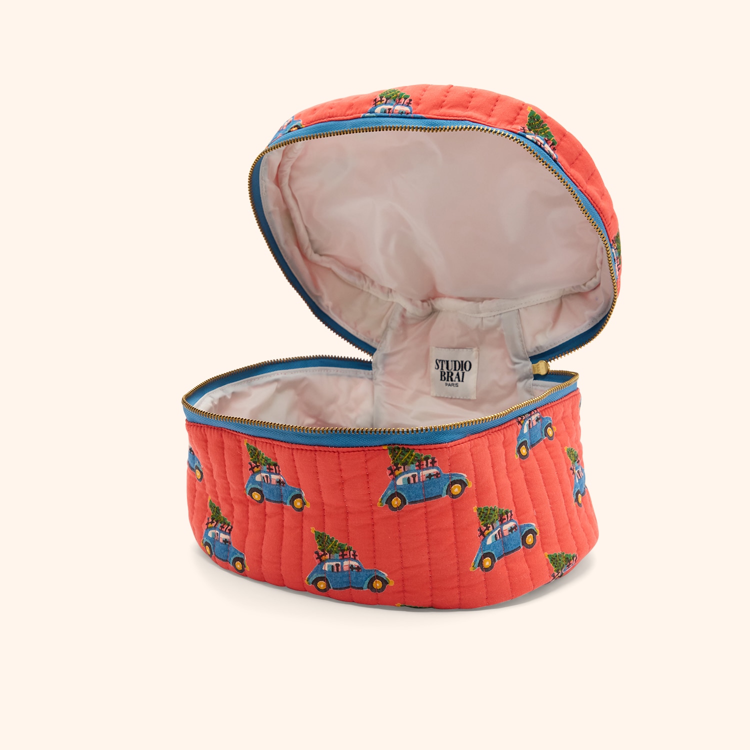 Vanity Brainity "santa ride"