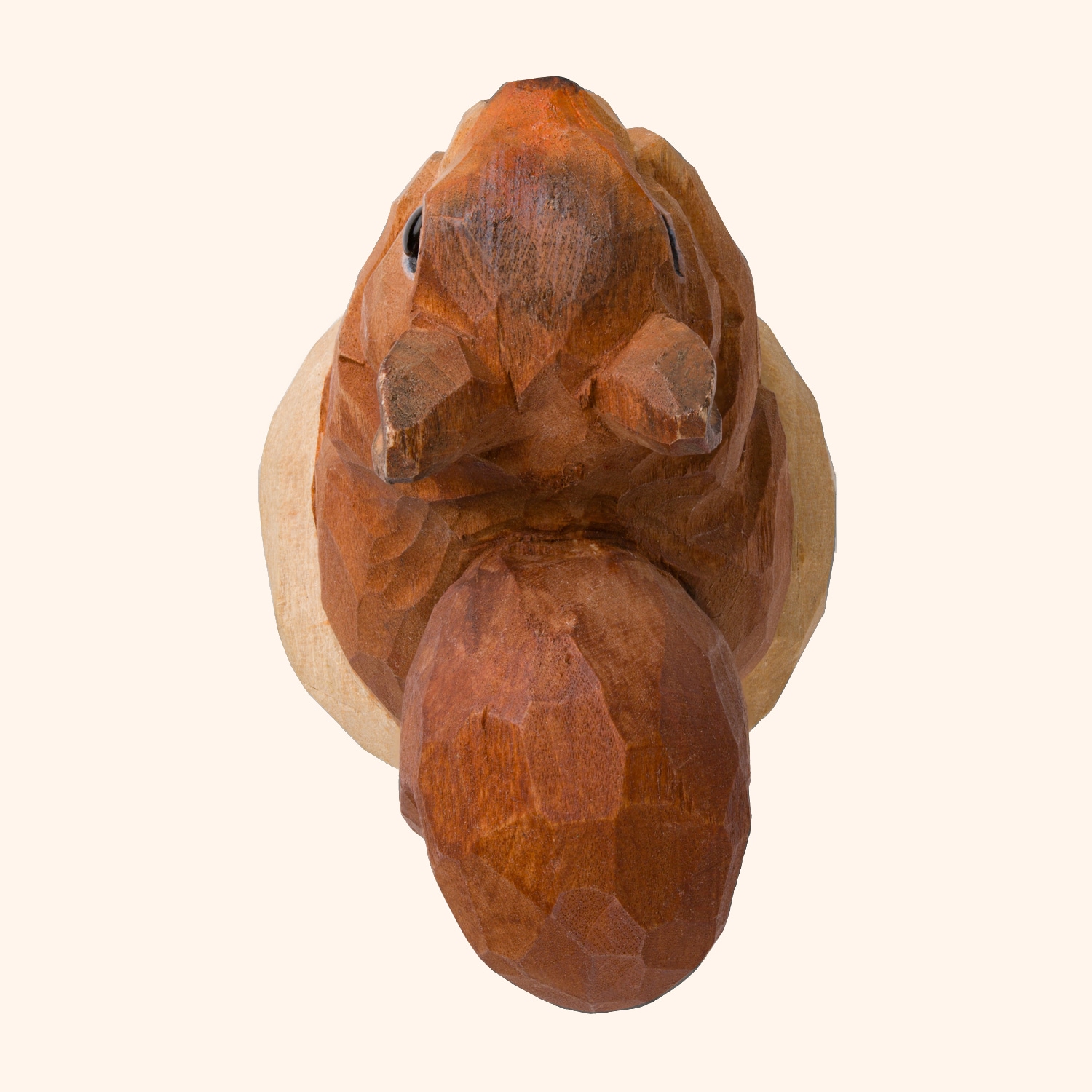 Bouchon en li&egrave;ge &eacute;cureuil