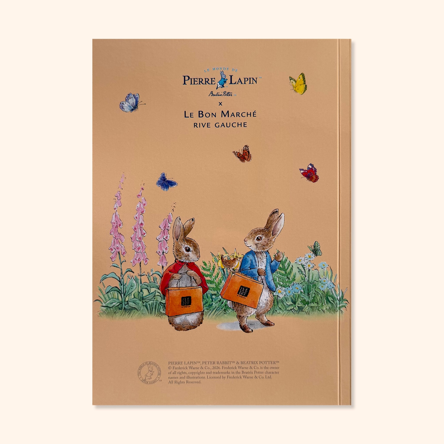 Carnet "Facade Pierre Lapin"