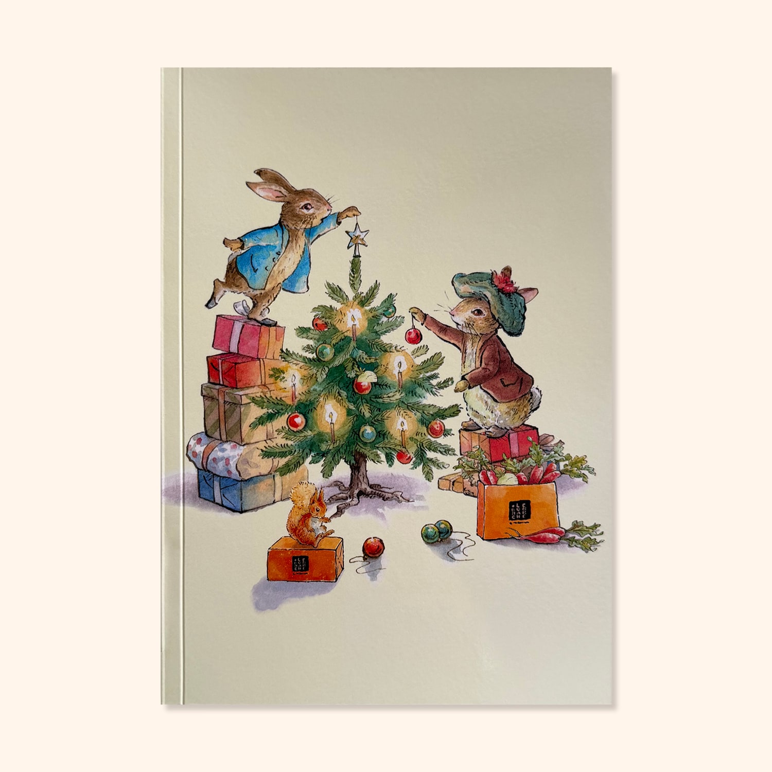 Carnet "Sapin Pierre Lapin"