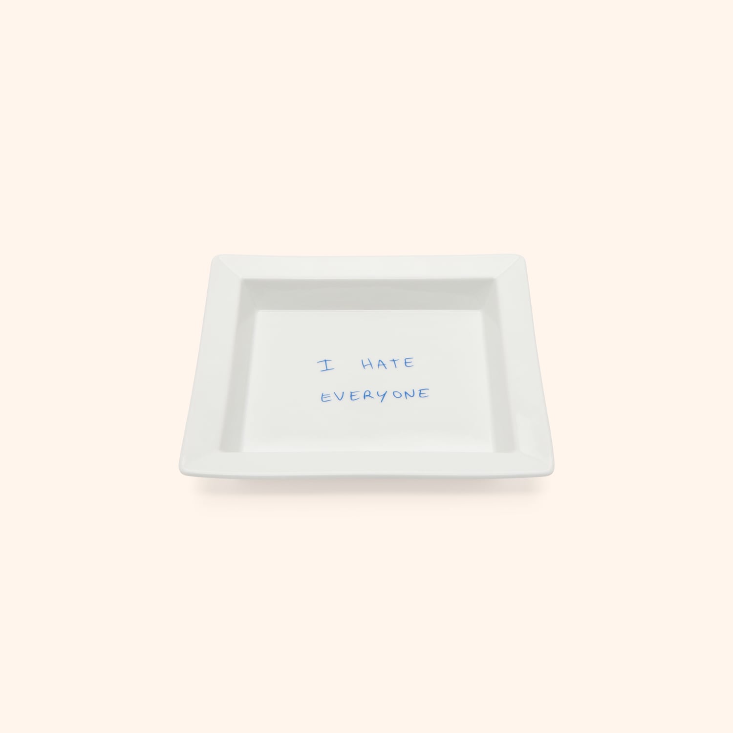 Vide poche "I hate everyone"