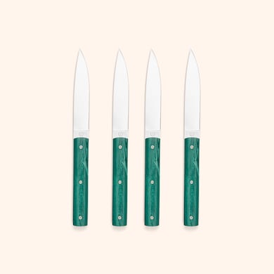 Coffret de 4 couteaux verts, , hi-res