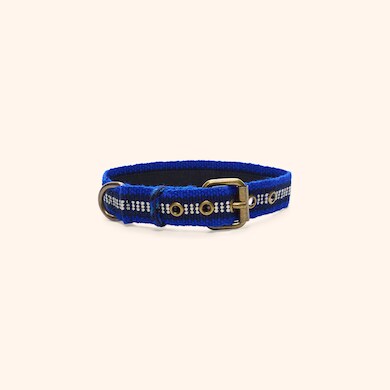 Collier pour chien, , hi-res