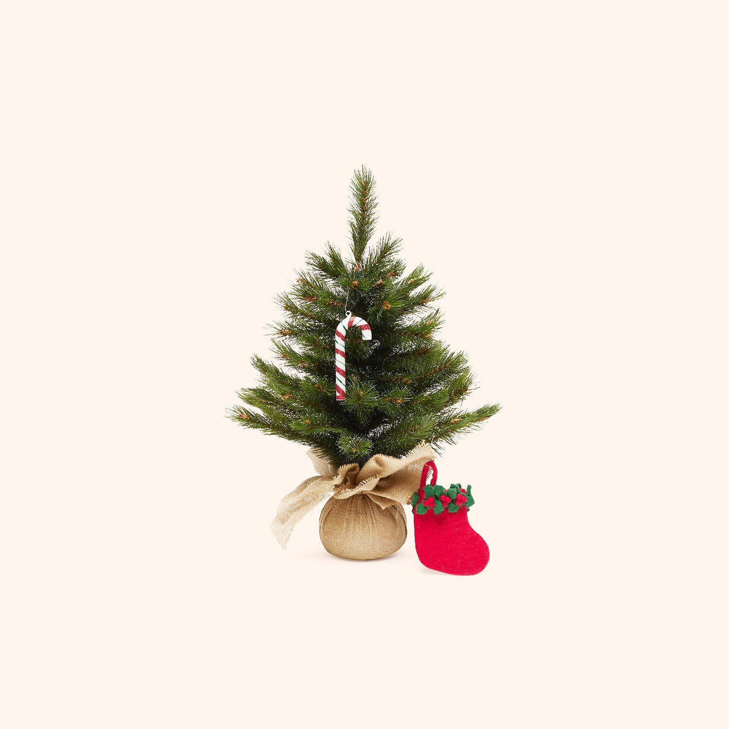 Sapin 60 cm
