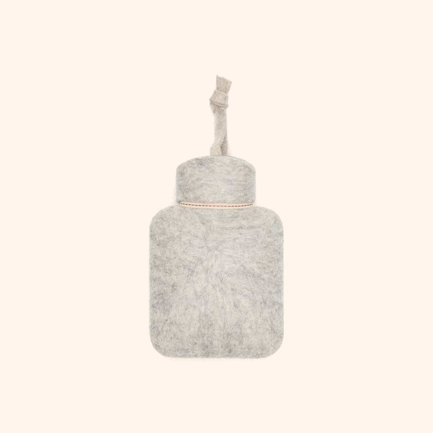 Bouillotte chien