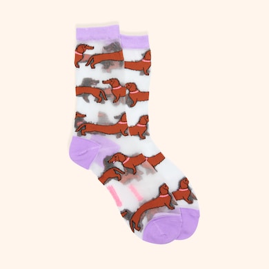 Chaussettes transparentes teckel, , hi-res
