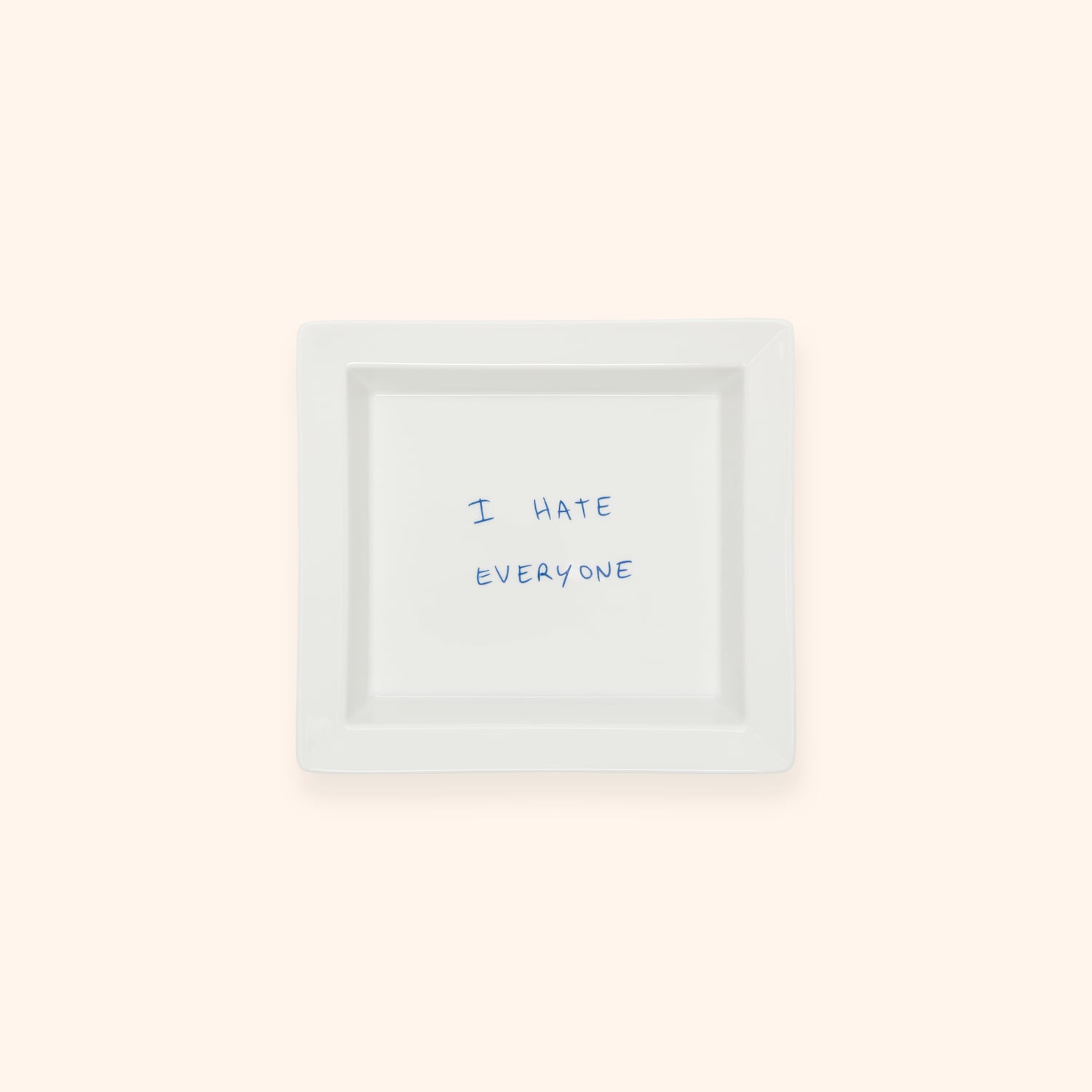 Vide poche "I hate everyone"