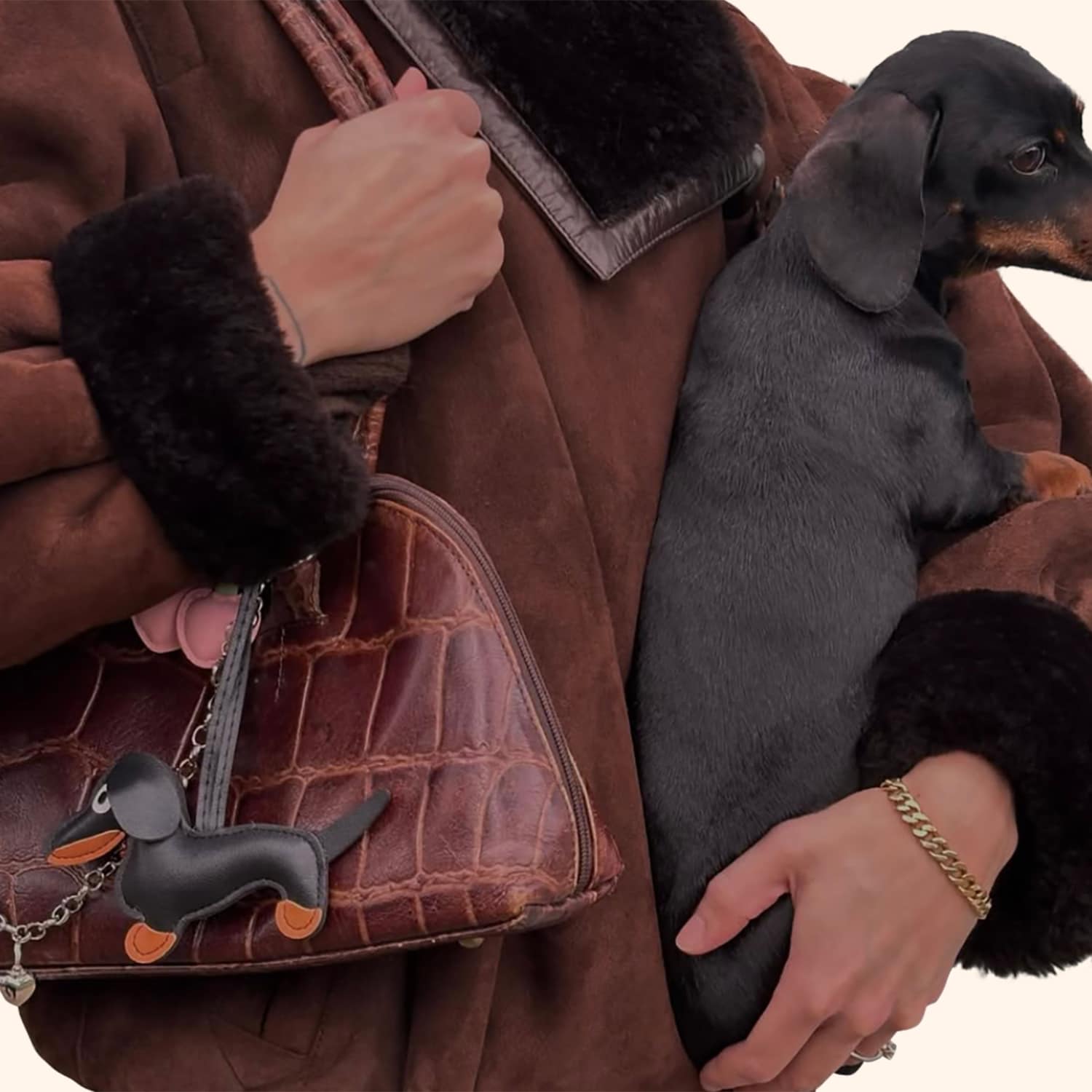 Porte clé peluche teckel