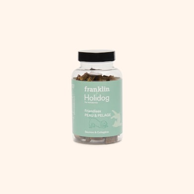 Friandises pour chien , , hi-res