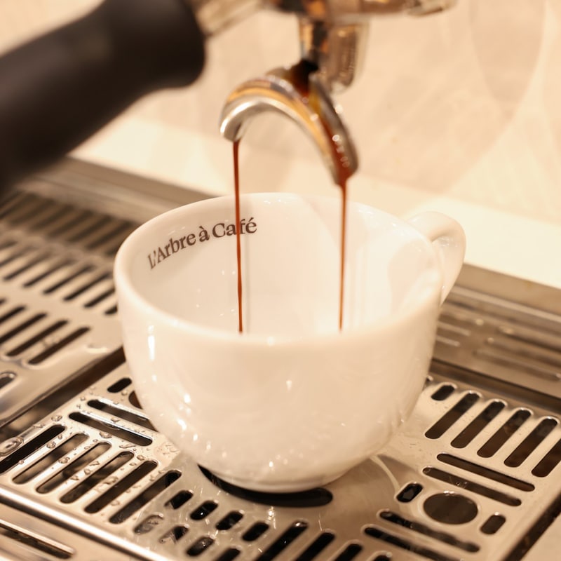 L’Arbre à Café : Rituel slow coffee, , hi-res
