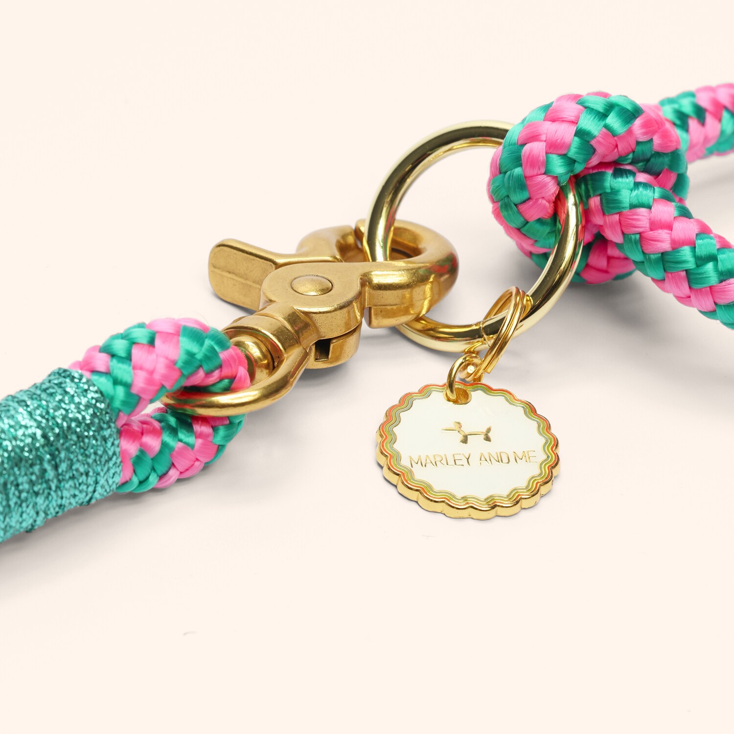 Laisse pour chien