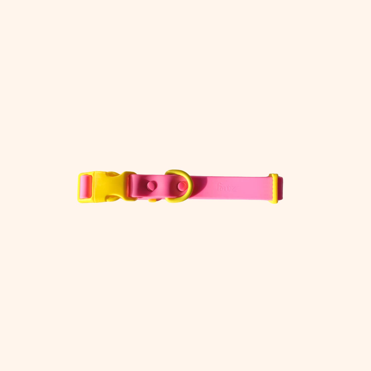 Collier pour chien