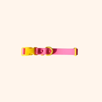 Collier pour chien, , hi-res