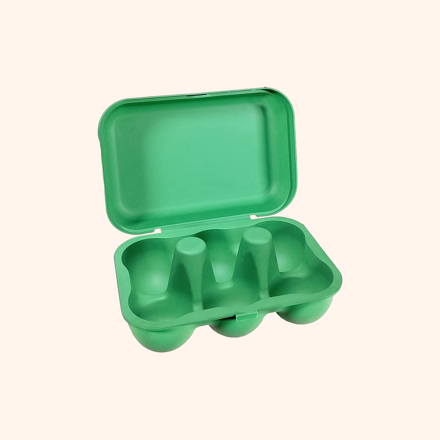 Bo&icirc;te de 6 &oelig;ufs