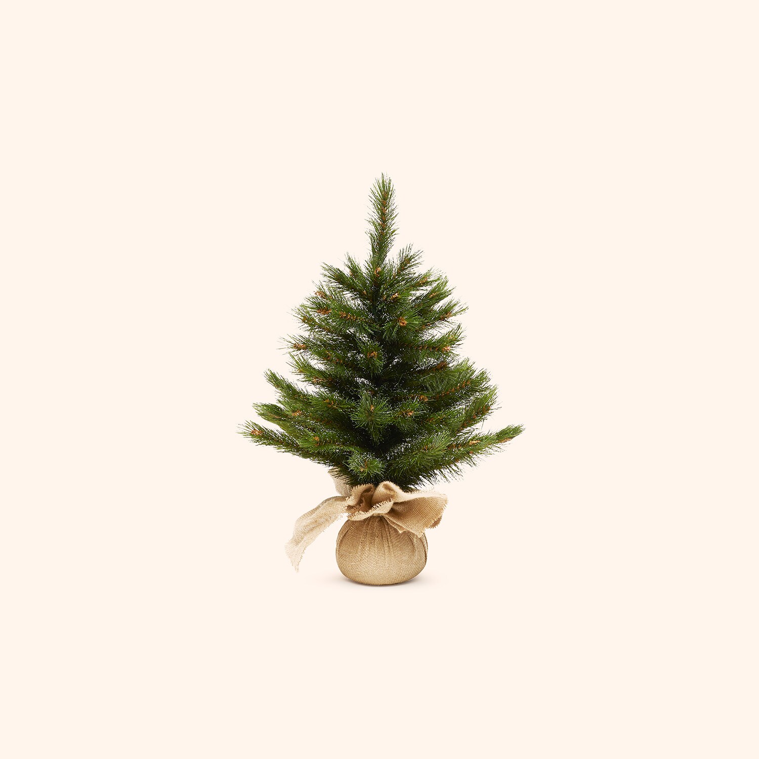 Sapin 60 cm